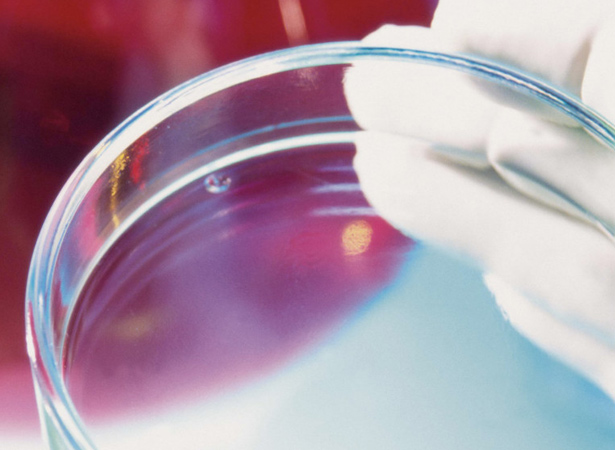 Lab Consumables: Petri Dish Cleaning Considerations