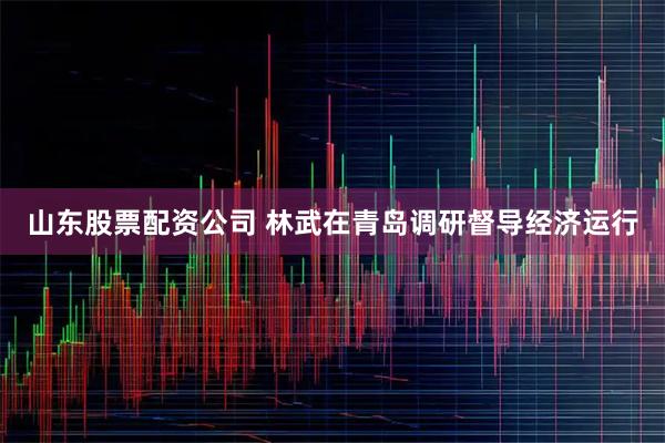 山东股票配资公司 林武在青岛调研督导经济运行